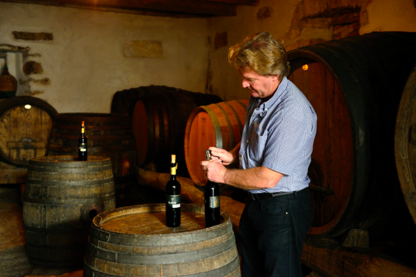 Taste the wines from Slovenia’s finet vineyards in Štajerska and Primorska